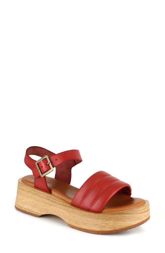 Candie's Elisa Platform Sandal in Burnt Orange Cover