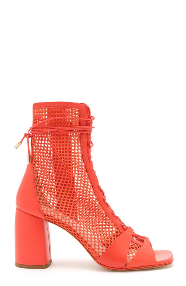 Daniella Shevel Romi Bootie in Red Cover