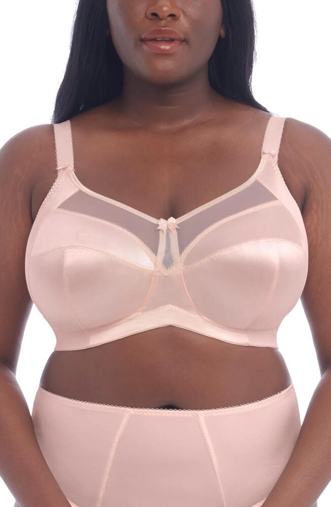 Goddess Keira Full Figure Soft Cup Bra in Pearl Blush Cover