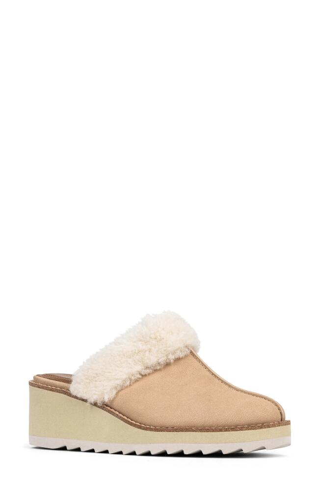 Donald Pliner Genuine Shearling Trim Wedge Mule in Sand Cover