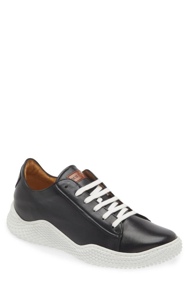 Mezlan Scallop Sneaker in Black Cover