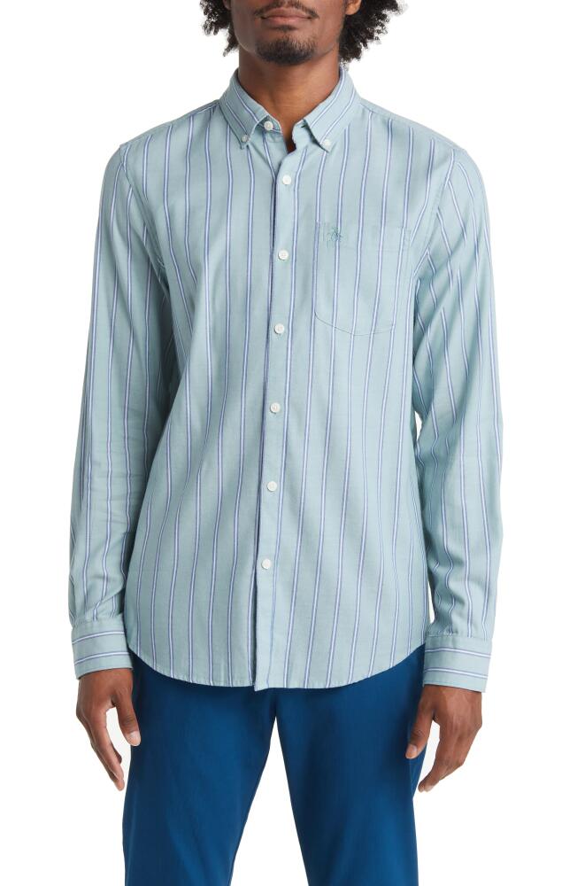 Original Penguin Slim Fit Stripe Button-Down Shirt in Oil Blue Cover