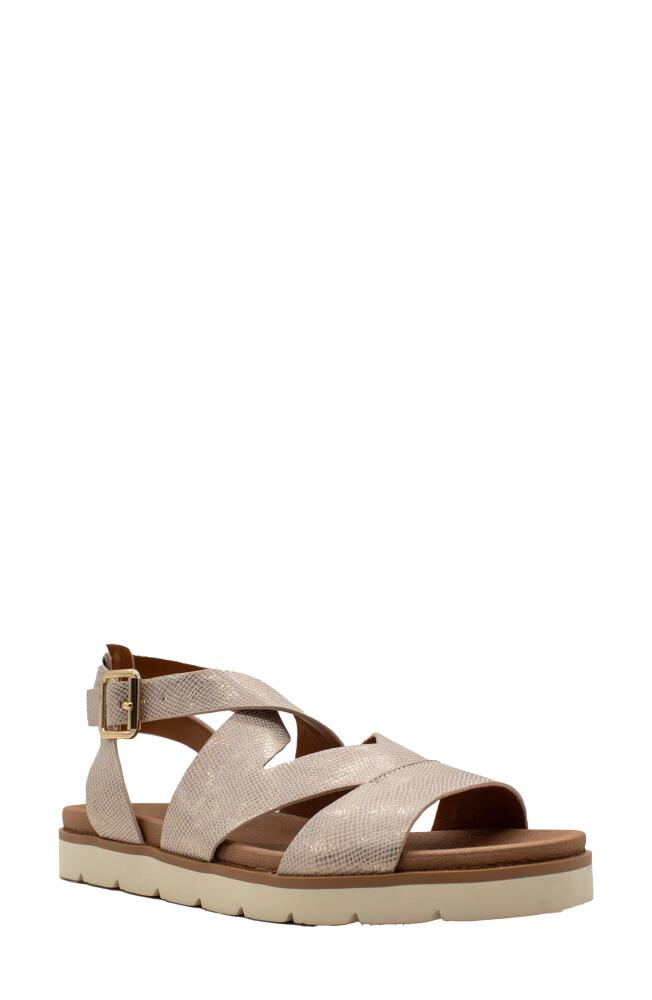 Volatile S'mores Ankle Strap Sandal in Champagne Cover