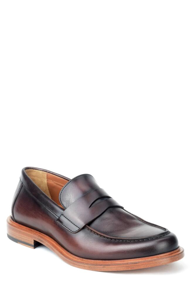 Warfield & Grand Preeminent Penny Loafer in Clove Cover