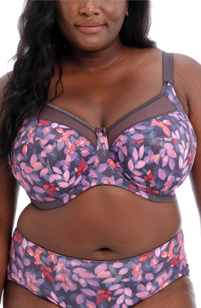 Goddess Kayla Full Figure Underwire Bra in Reverie Cover