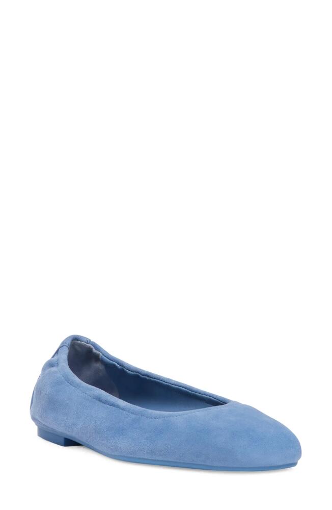 Stuart Weitzman Leather Ballet Flat in Blue Steel Leather Cover