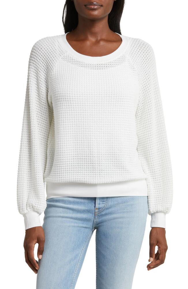 GIBSONLOOK Sunset Long Sleeve Open Knit Top in White Cover