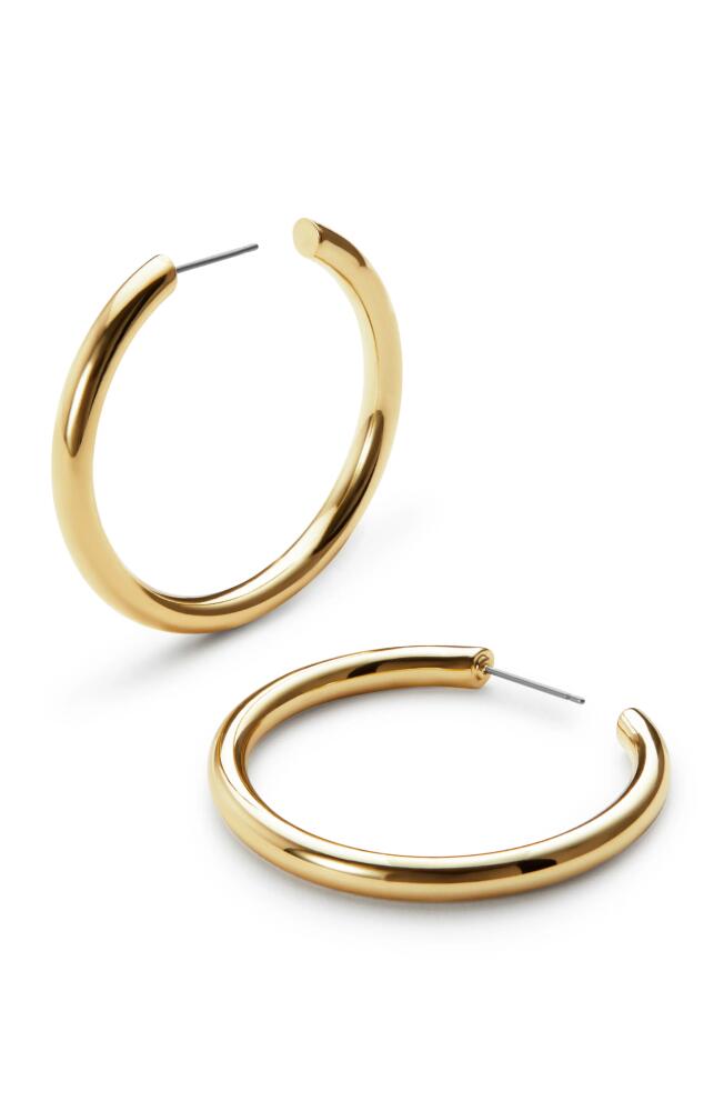 Ana Luisa Hoop Earrings - Tia Medium in Gold Cover