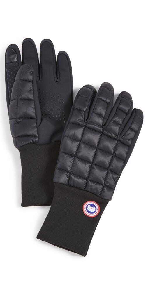 Canada Goose Northern Glove Liner Black Cover