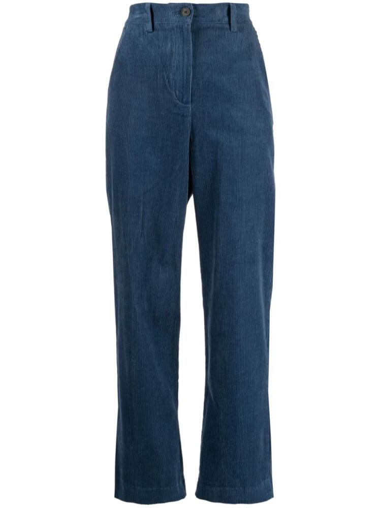 STUDIO TOMBOY straight-leg corduroy trousers - Blue Cover