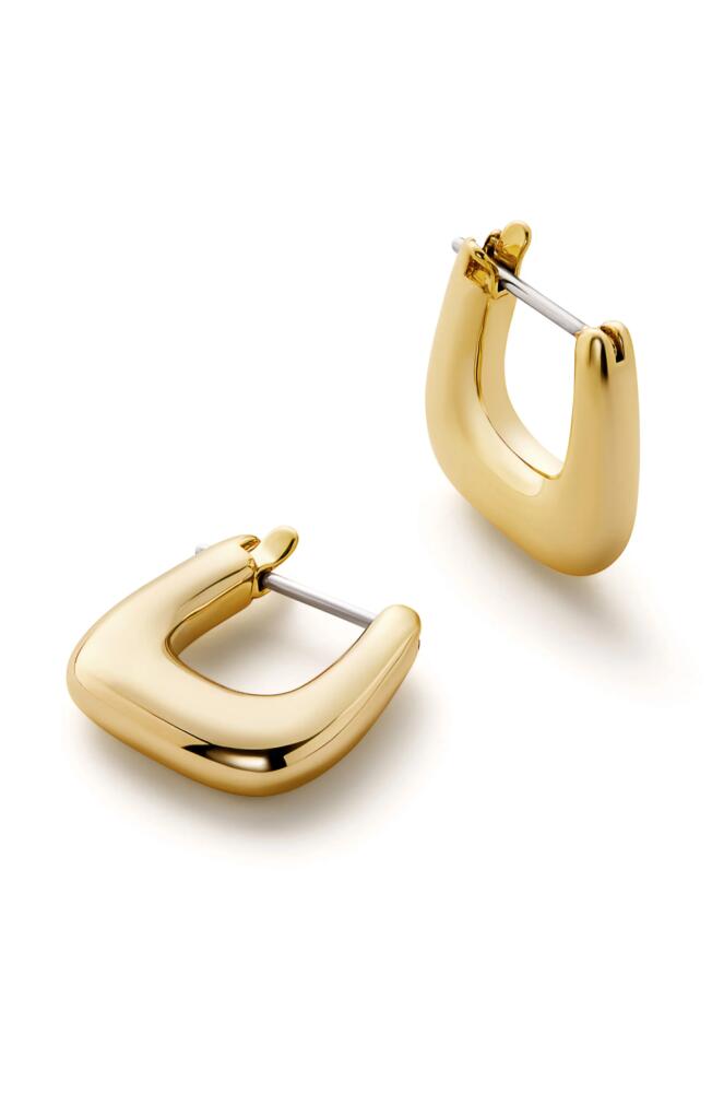 Ana Luisa Small Gold Hoop Earrings - Colene Small Cover