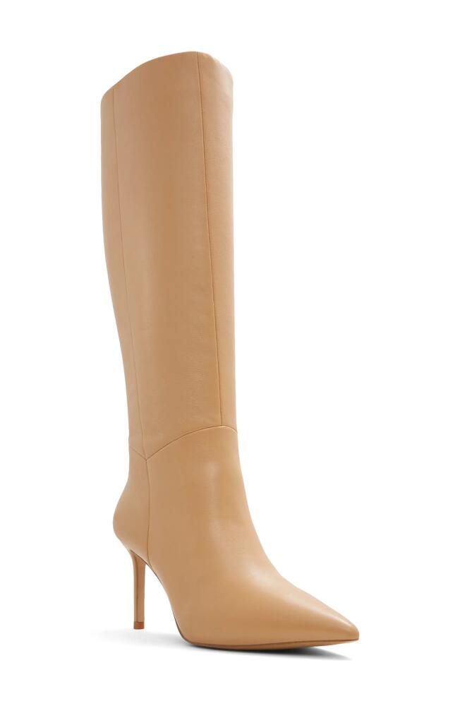 ALDO Laroche Pointed Toe Knee High Boot in Other Dark Beige Cover