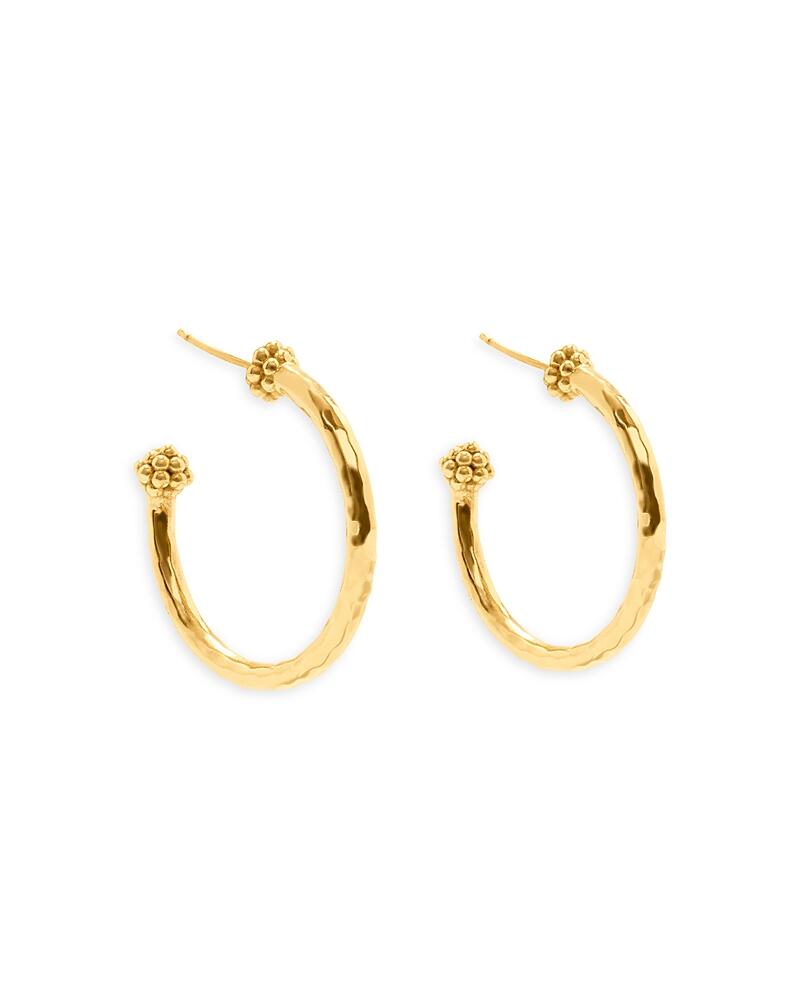 Capucine De Wulf Berry Medium Hoop Earrings Cover