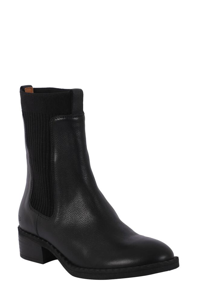 GENTLE SOULS BY KENNETH COLE Bernadette Chelsea Boot in Black Leather Cover