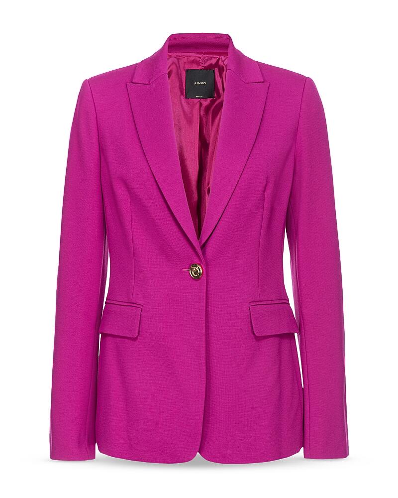 Pinko Signum One Button Blazer Cover