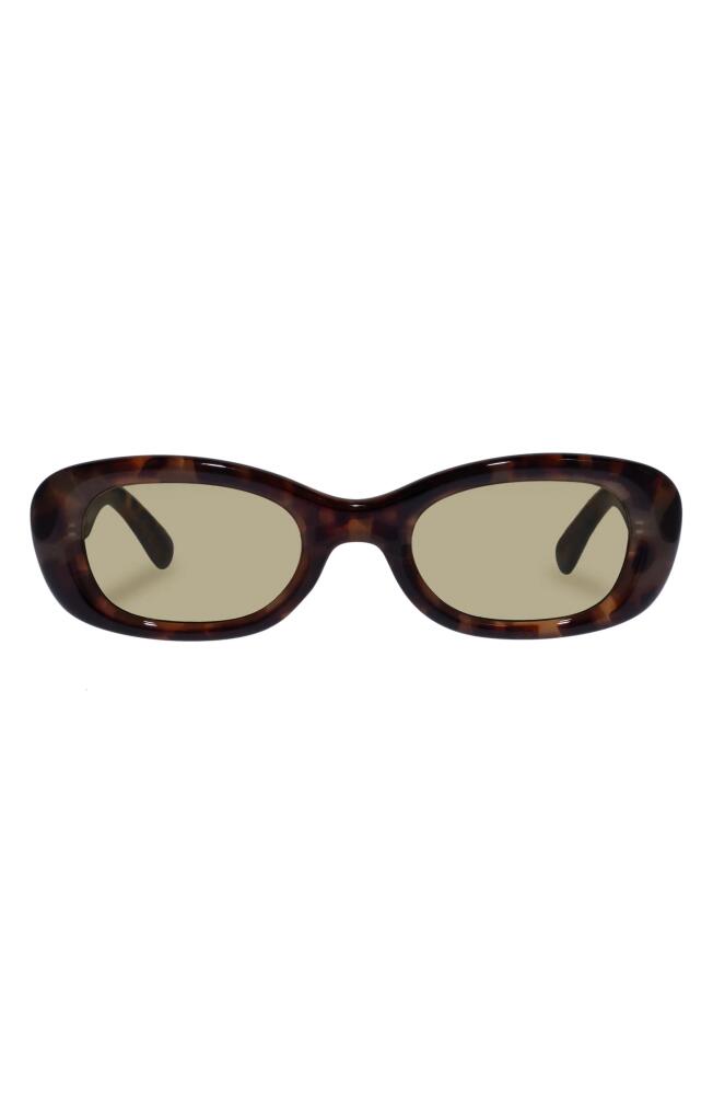 AIRE Calisto 49mm Small Oval Sunglasses in Dark Tortoise Cover