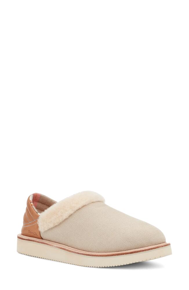 Sanuk Sugar Mat Slipper in Ash Grey Cover