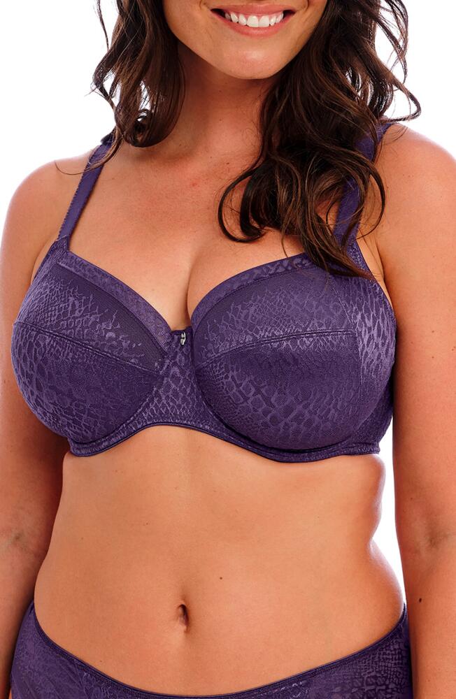 Fantasie Envisage Underwire Side Support Bra in Purple Velvet Cover