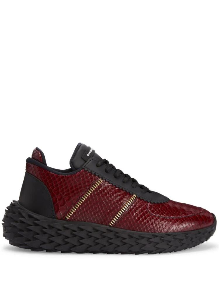 Giuseppe Zanotti Urchin leather sneakers - Red Cover