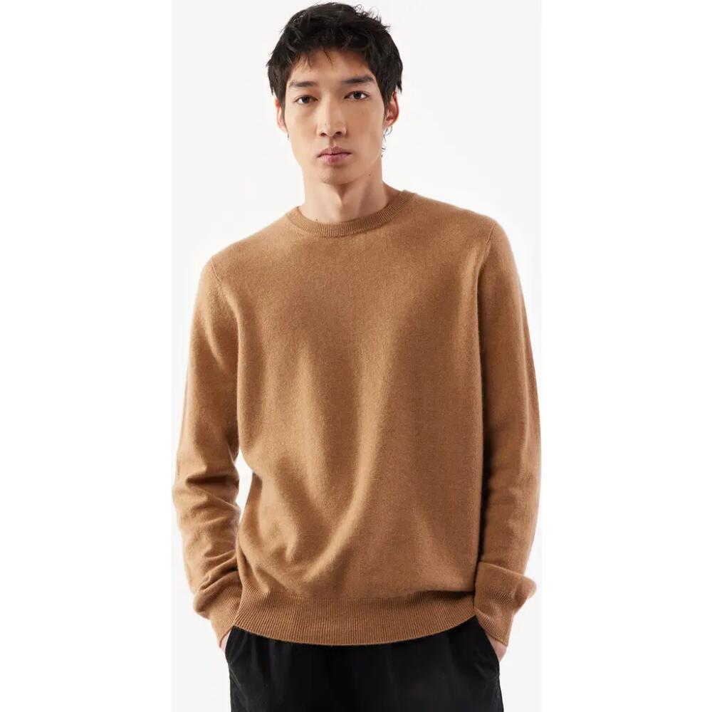 Gobi Cashmere Crew Neck Sweater in Sheepskin Cover