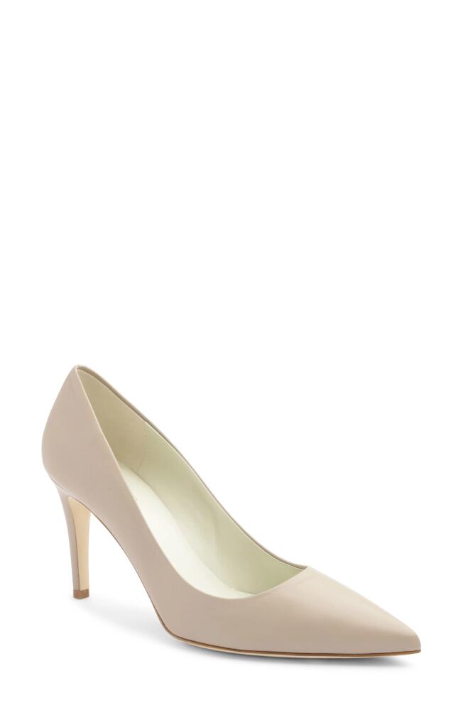 Bruno Magli Telma Pointed Toe Pump in Nude Calf Cover