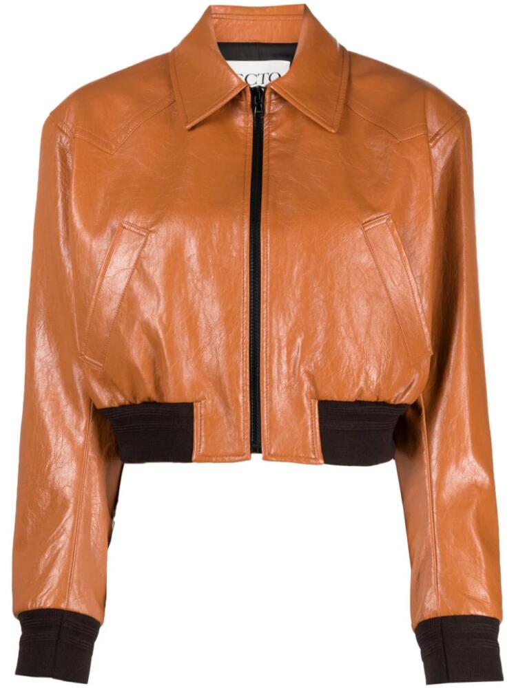 Recto spread-collar cropped jacket - Brown Cover