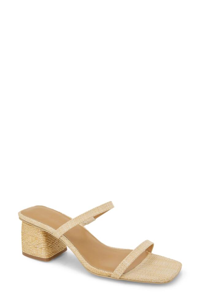 Splendid Kharis Slide Sandal in Natural Cover