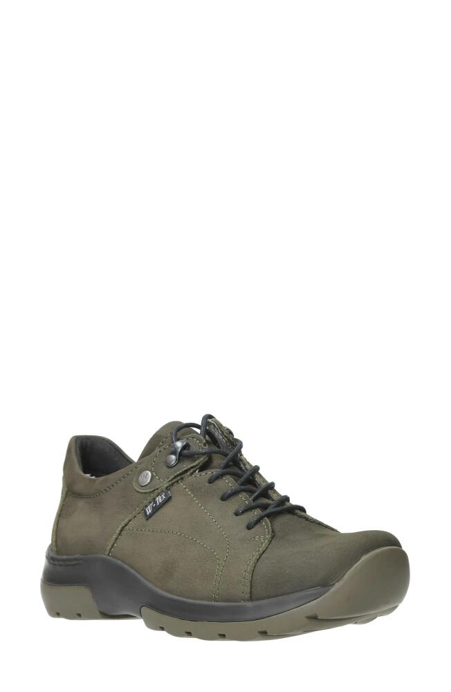 Wolky Cajun Waterproof Sneaker in Cactus Antique Nubuck Cover