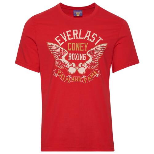 Coney Island Picnic X Everlast Fame Garment Dyed S/S T-Shirt - Mens Scarlet/Red Cover