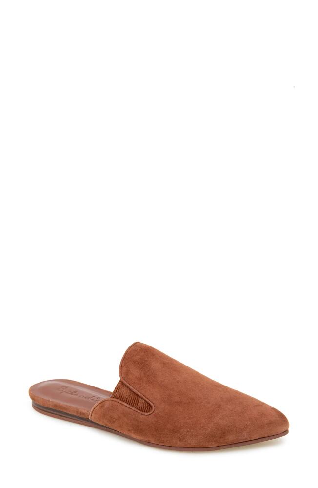 Splendid Liza Pointed Toe Mule in Rust Cover