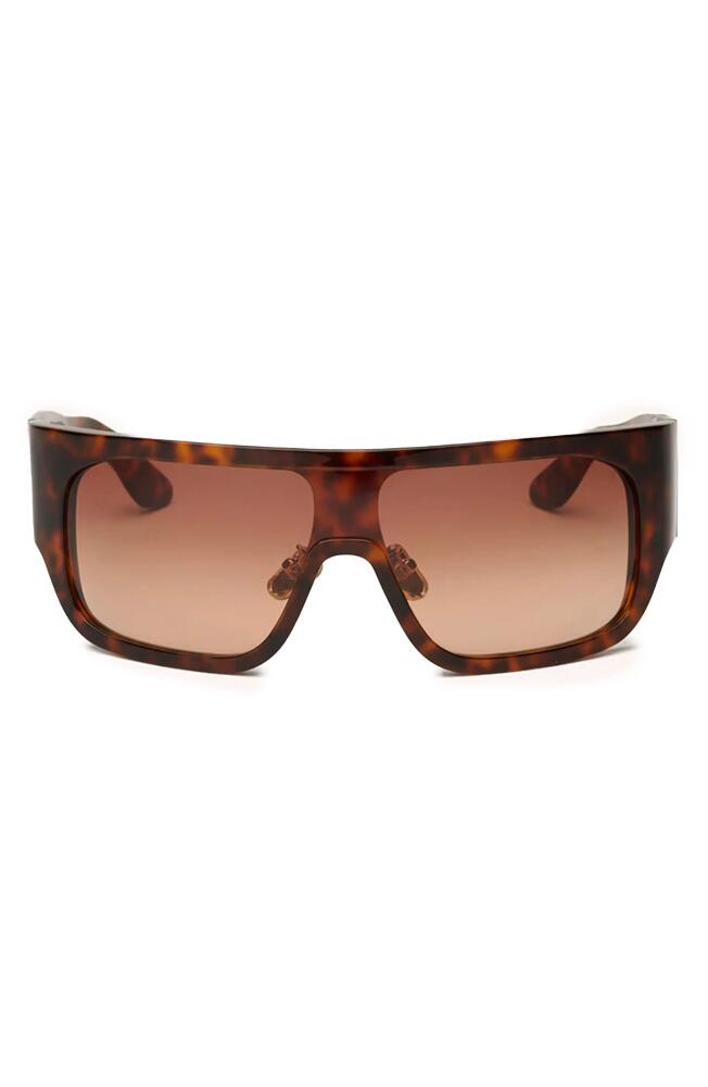 DEZI BlockedT 125mm Oversize Shield Sunglasses in Fiery Tortoise /Sienna Faded Cover