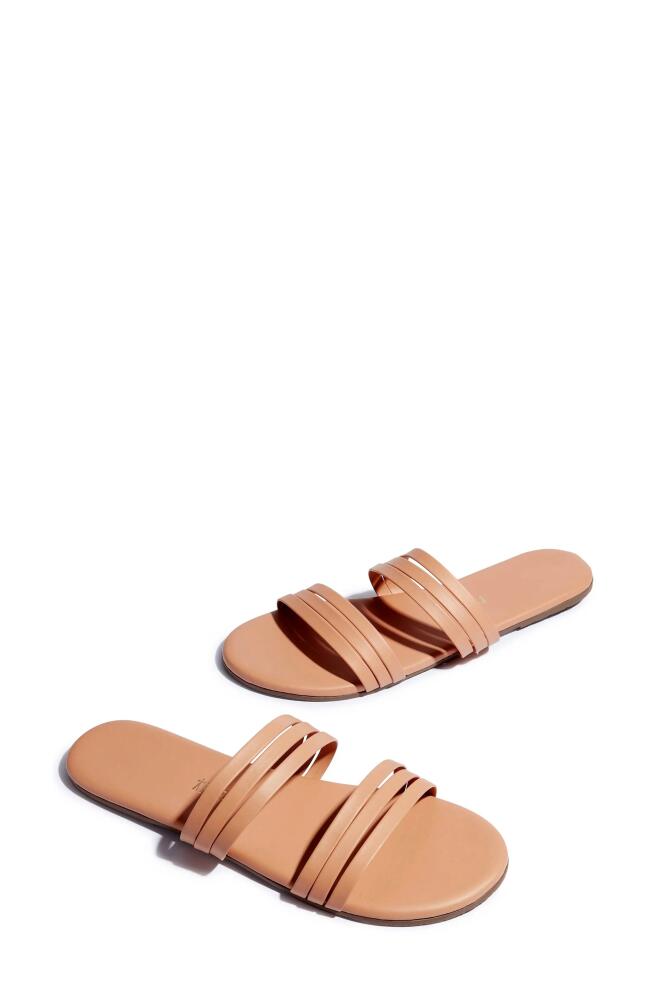 TKEES Allegra Slide Sandal in Pout Cover