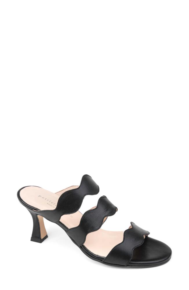 patricia green Sophia Slide Sandal in Black Cover