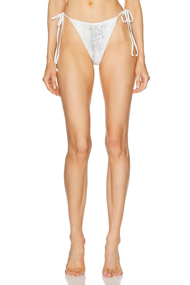 Bond Eye Anisha Bikini Brief in Ivory Cover