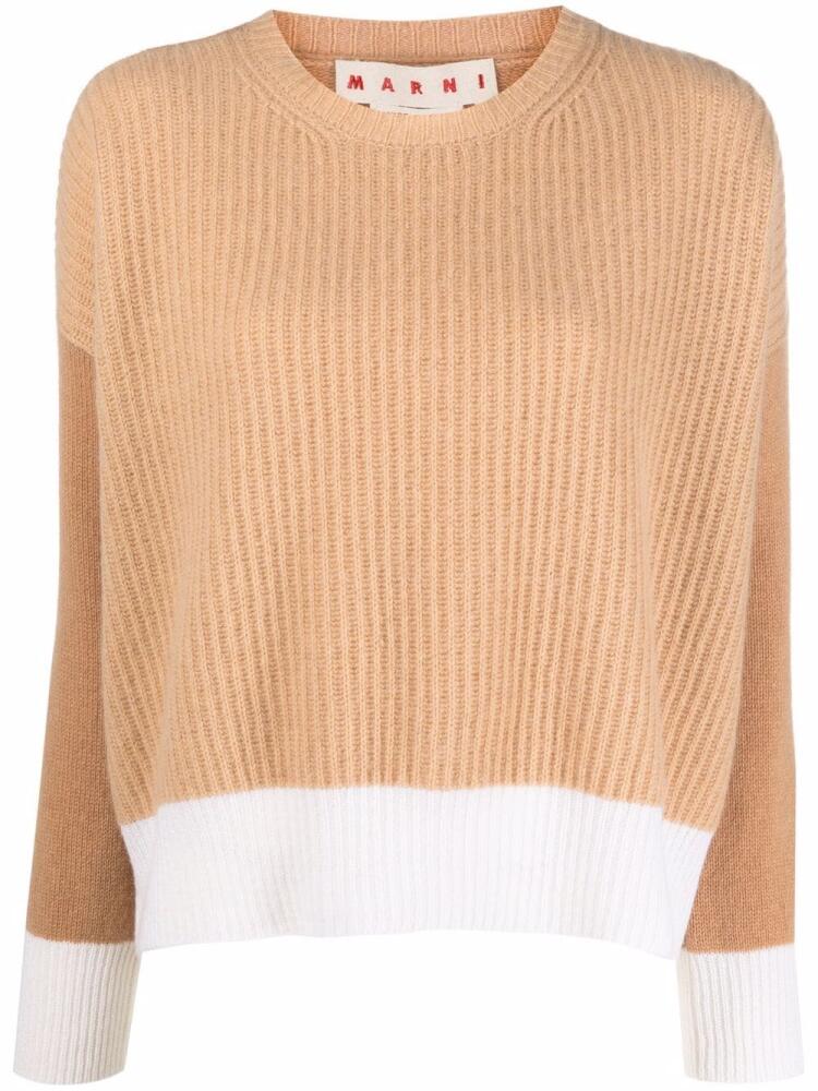 Marni two-tone cashmere sweater - Neutrals Cover