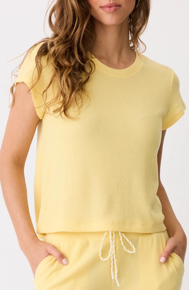 PJ Salvage Sunshine Fields Waffle Knit T-Shirt Cover