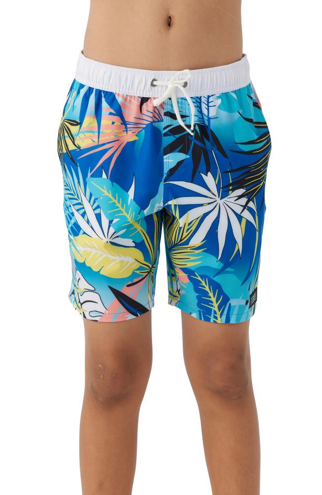 O'Neill Hermosa Swim Trunks in Multi Colored Cover