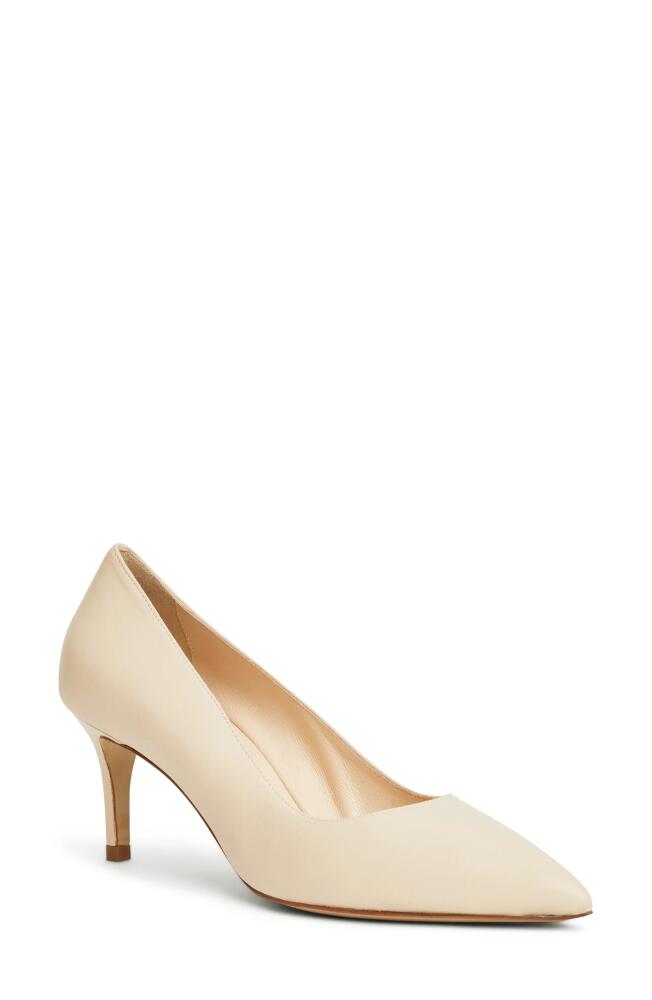 Bruno Magli Tara Pointed Toe Pump in Sand Cover