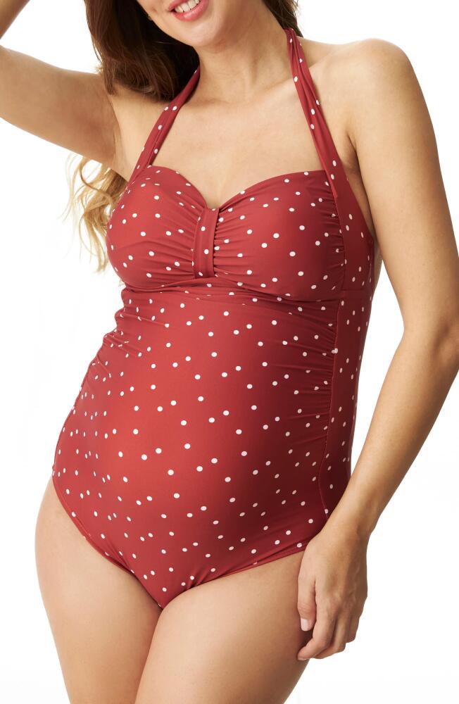 Pez D'Or Merlot Polka Dot One-Piece Maternity Swimsuit Cover