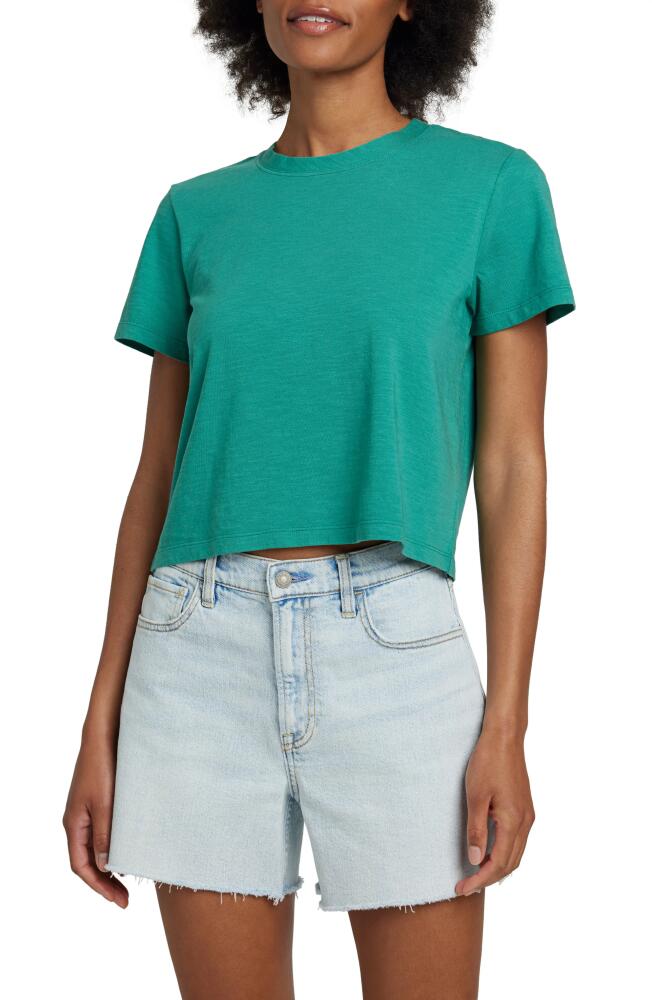 Faherty Sunwashed Organic Cotton Crop T-Shirt in Bottle Green Cover