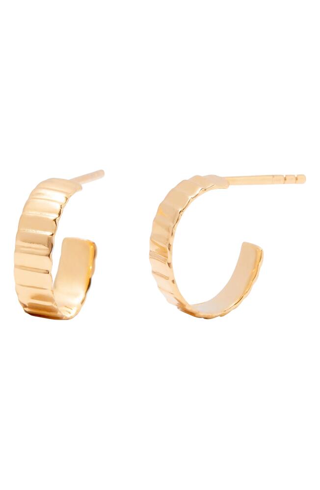 Brook and York Natalie Hoop Earrings in Gold Cover