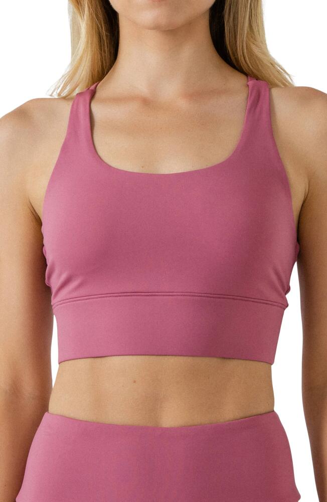 Grey Lab Sports Bra in Cassis Cover