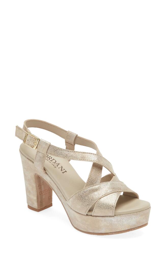 Cordani Tahlia Strappy Platform Sandal in Dusty Gold Cover