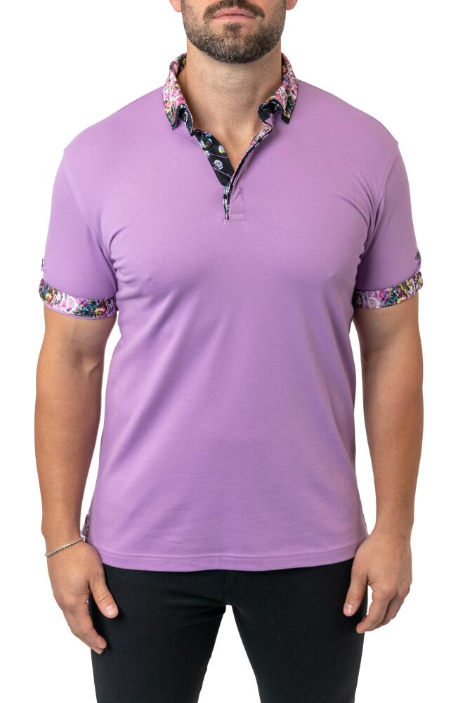 Maceoo Mozartsolid Purple Button Down Piqué Polo Cover