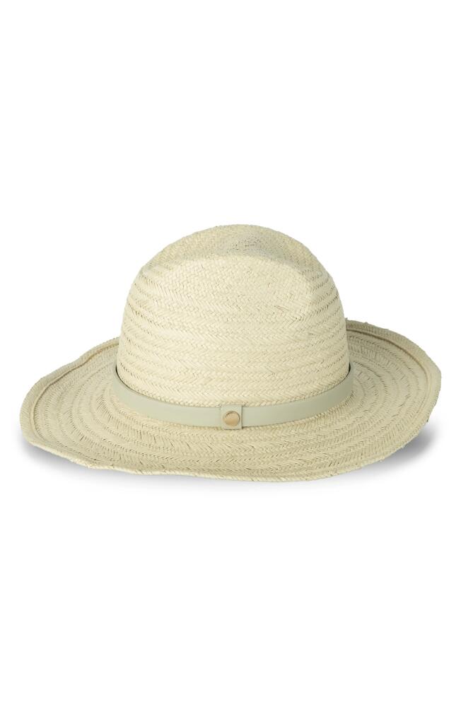 AllSaints Straw Western Fedora in Light Khaki/Green/Warm Brass Cover