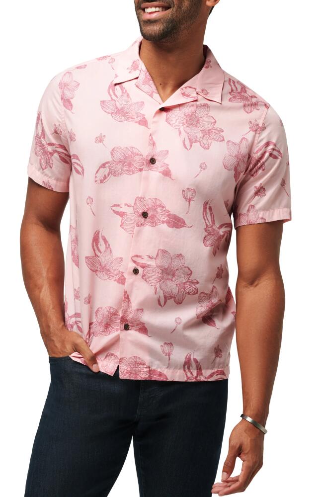 TravisMathew Yacht Rockin Floral Camp Shirt in Blush Cover