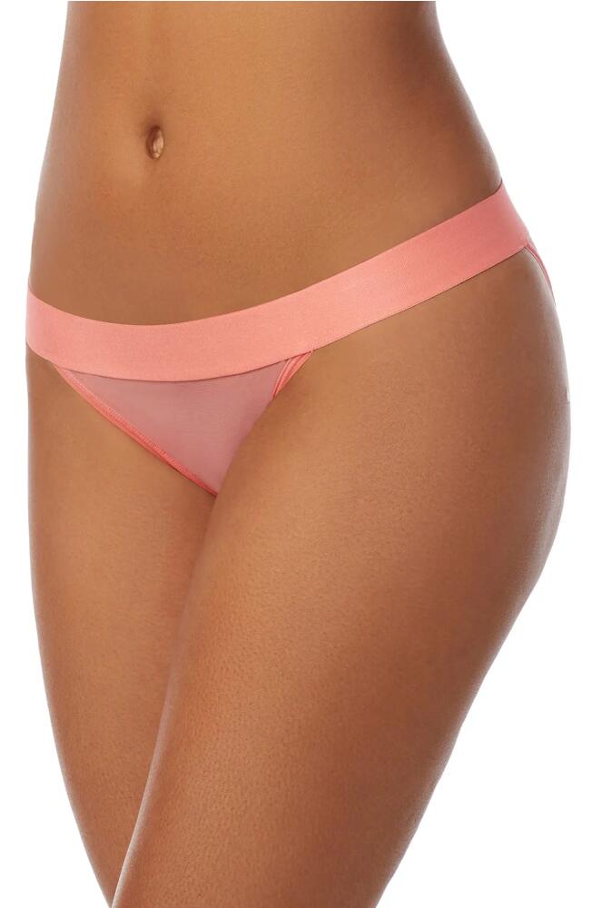 DKNY Sheers Cheeky Bikini Cut Briefs in Shell Pink Cover