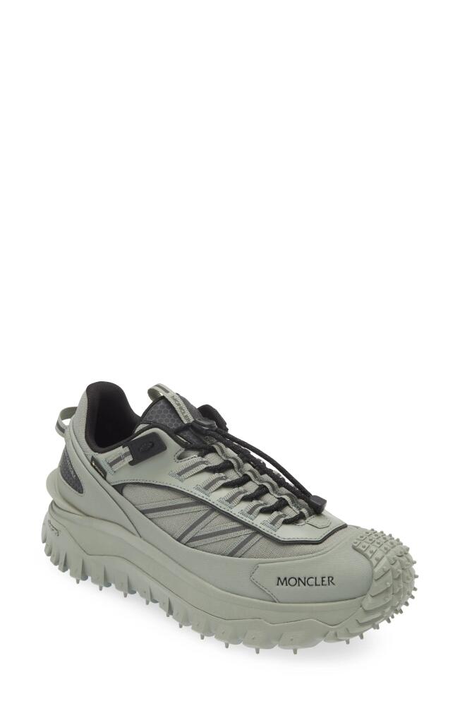 Moncler Trailgrip GTX Waterproof Hiking Sneaker in Sea Grass Cover