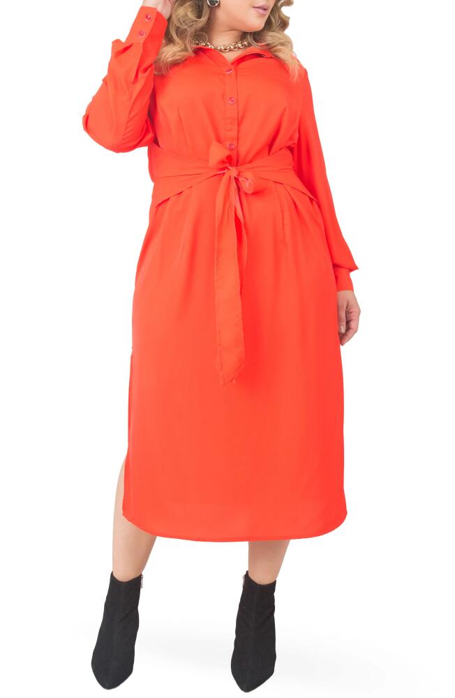 Standards & Practices Tie Waist Long Sleeve Midi Dress in Cherry Cover