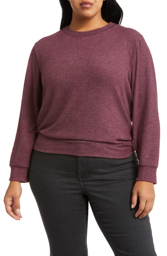 Loveappella Crewneck Top in Burgundy Cover